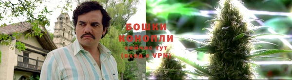 спиды Гусиноозёрск