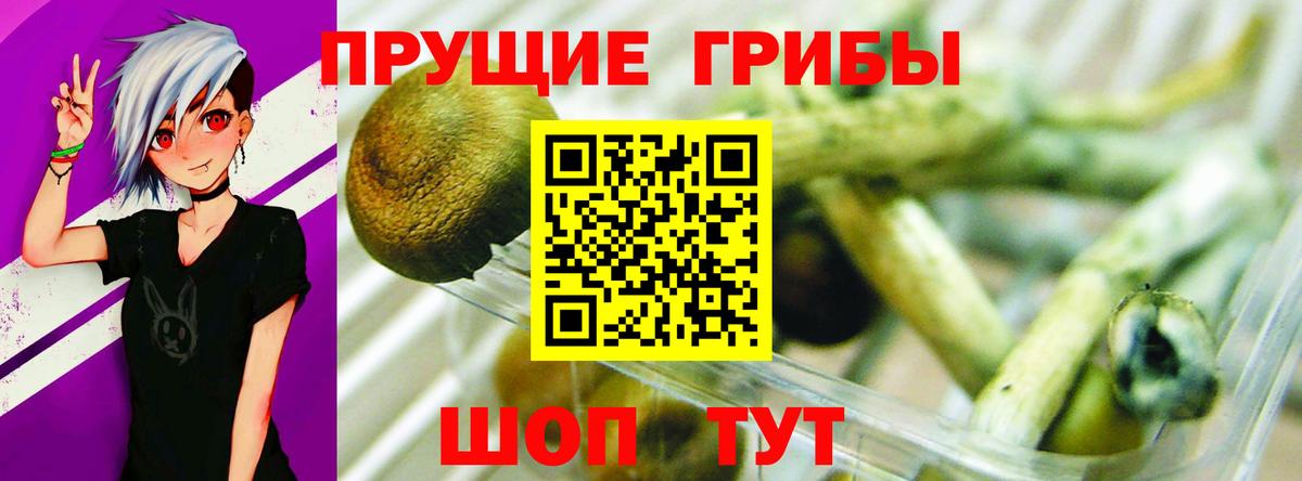 Галлюциногенные грибы мухоморы Дзержинский