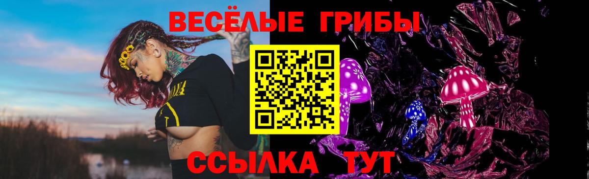 Псилоцибиновые грибы прущие грибы  закладки  Вход с VPN  Дзержинский  Галлюциногенные грибы ЛСД 